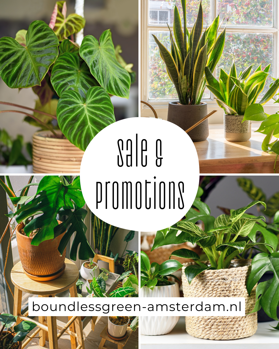 Sale & Promotions