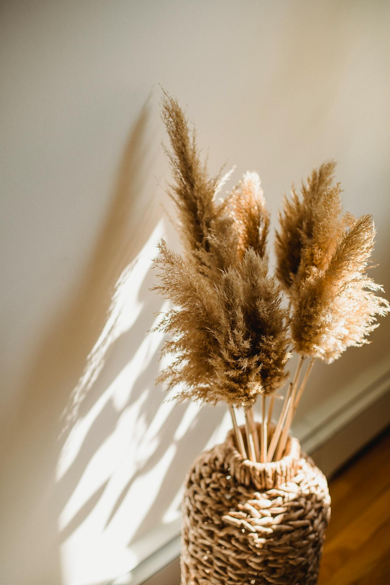 Droogbloemen