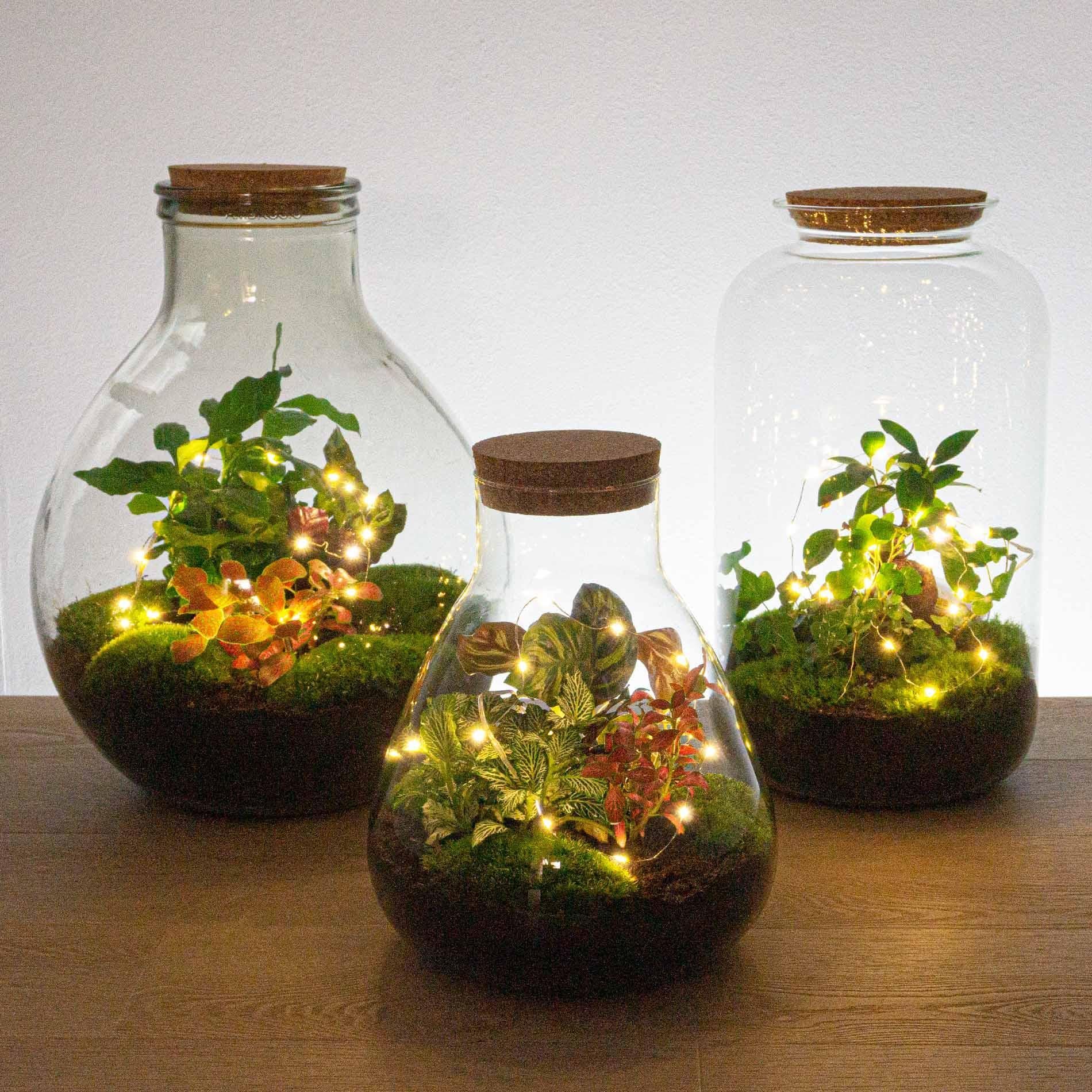 Batteriebetriebene Drahtbeleuchtung – 1 Meter – Warmweiß – 20 LED-Lichter – Weihnachten