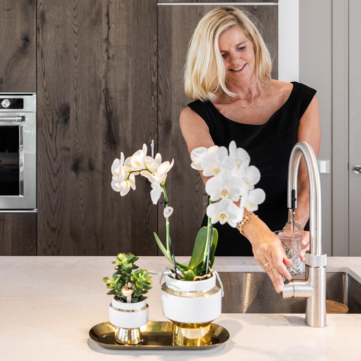BoundlessGreen & Kolibri Orchids | Set van witte orchidee en Succulent op gouden dienblad