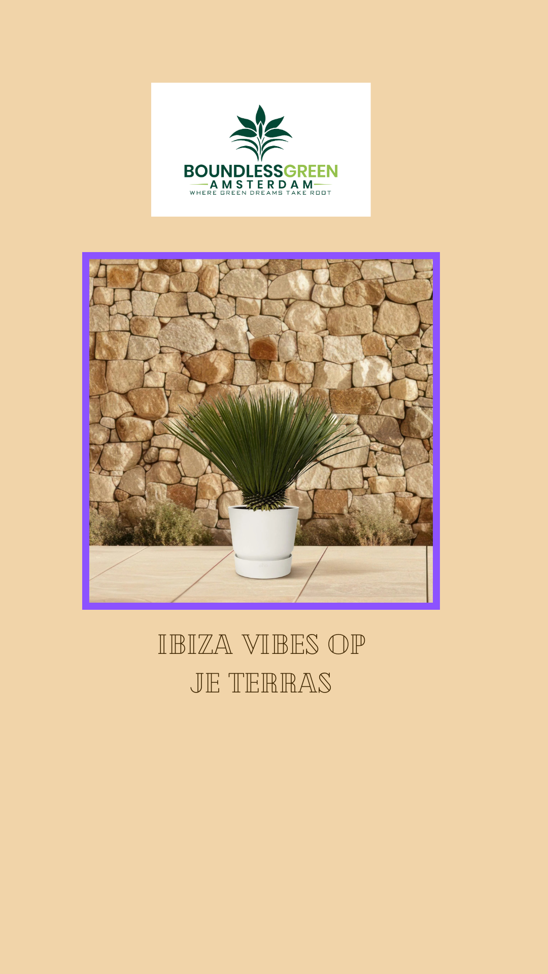 Mediterrane planten