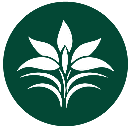 Kamerplanten actie januari 2026