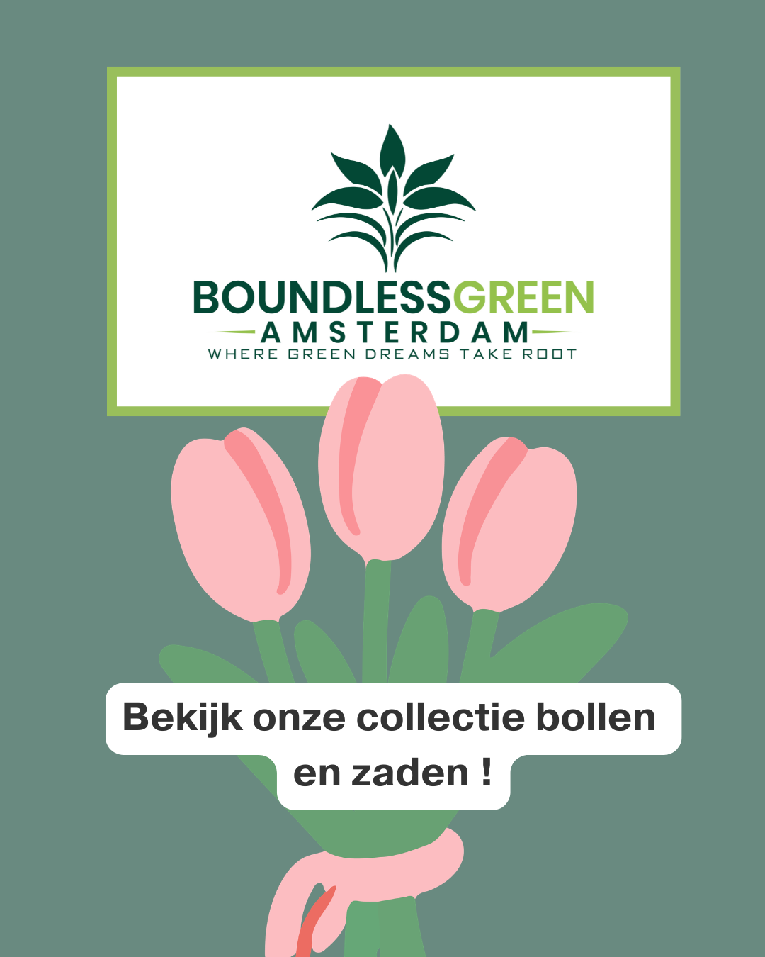 Bloembollen en zaden collectie