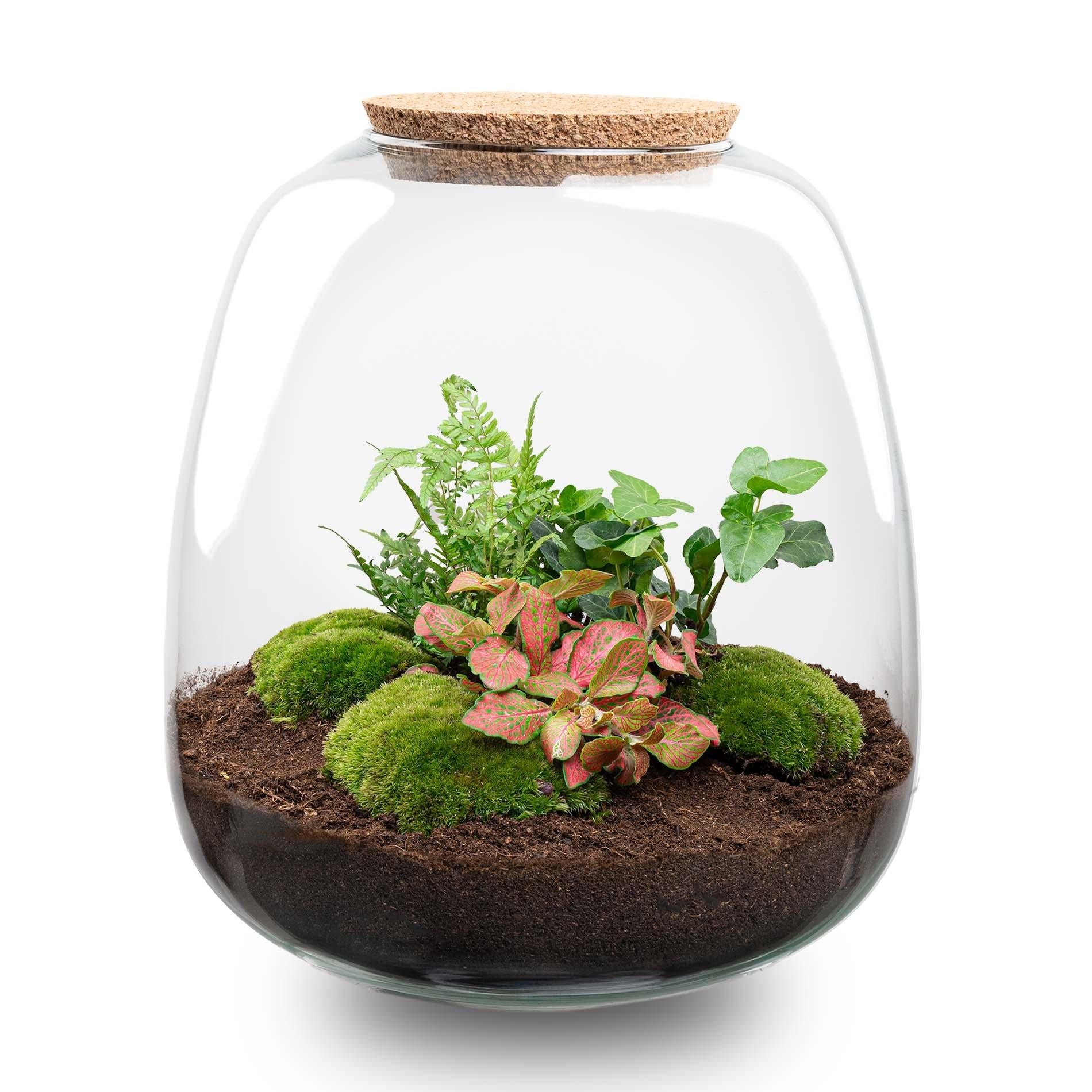 Terrarium