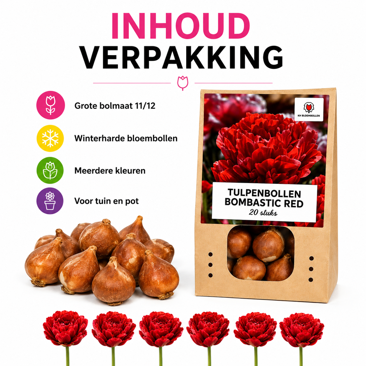 Tulpenbollen Bombastic Red – 20 Stuks | KH Bloembollen® | Rode Pioentulp – Dubbelbloemig & Luxe – Voor Tuin of Pot – Maat 11/12 – Vers van de Teler!