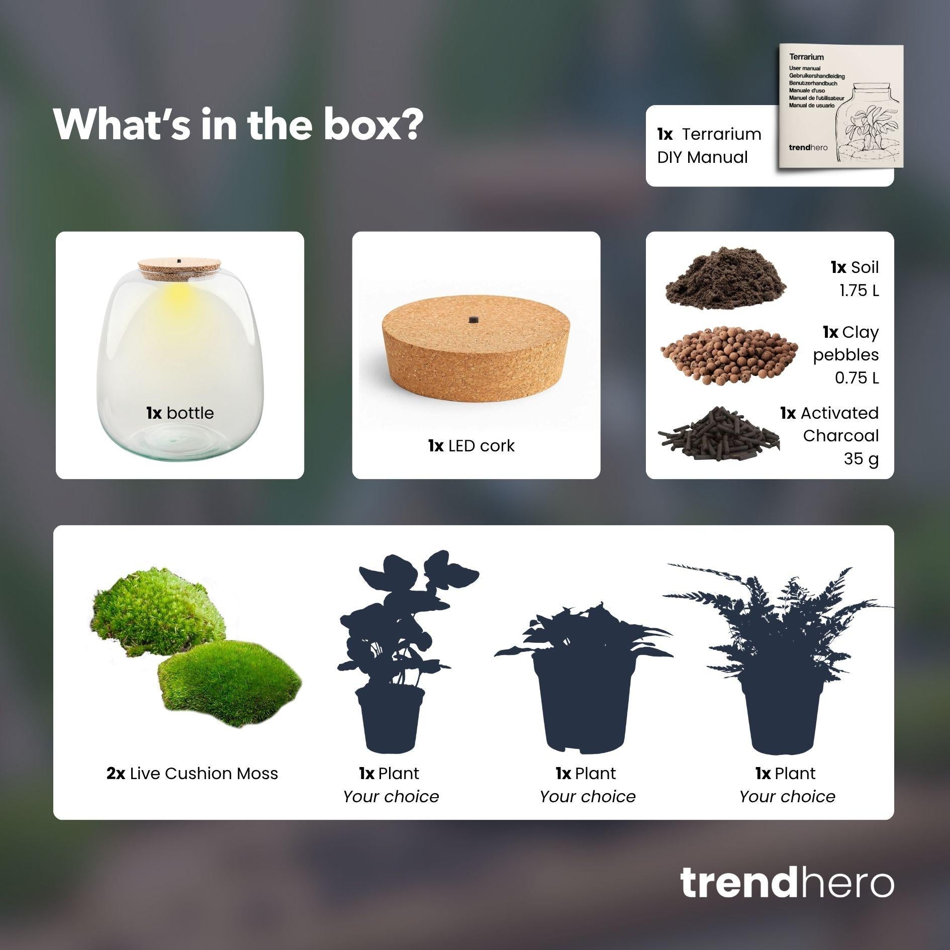 Planten terrarium - Emma - DIY kit - ↑ 25 cm - Ø 23 cm - Hedera White