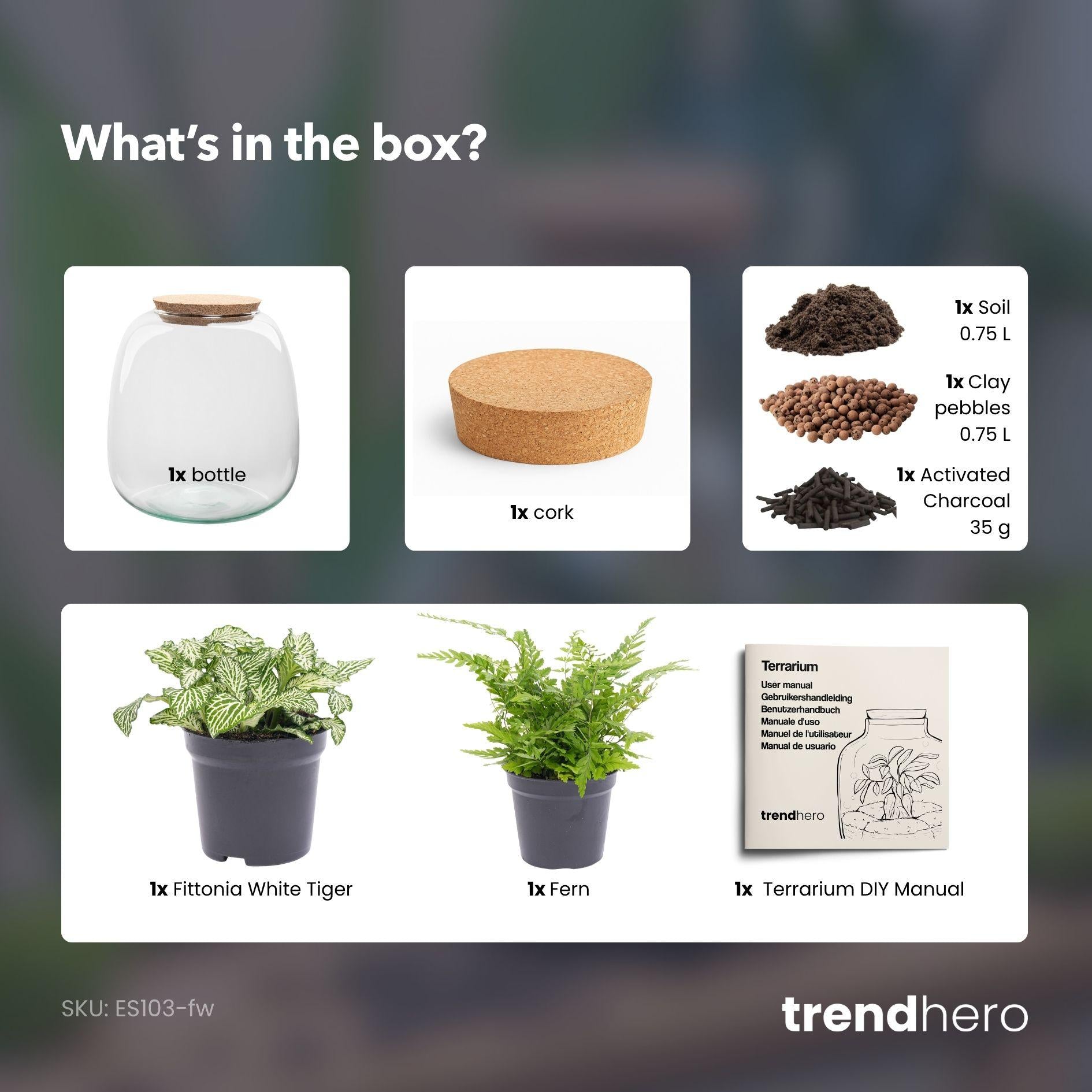 Planten terrarium - Emma Mini - DIY kit - ↑ 20 cm - Ø 19 cm - Fittonia White Tiger