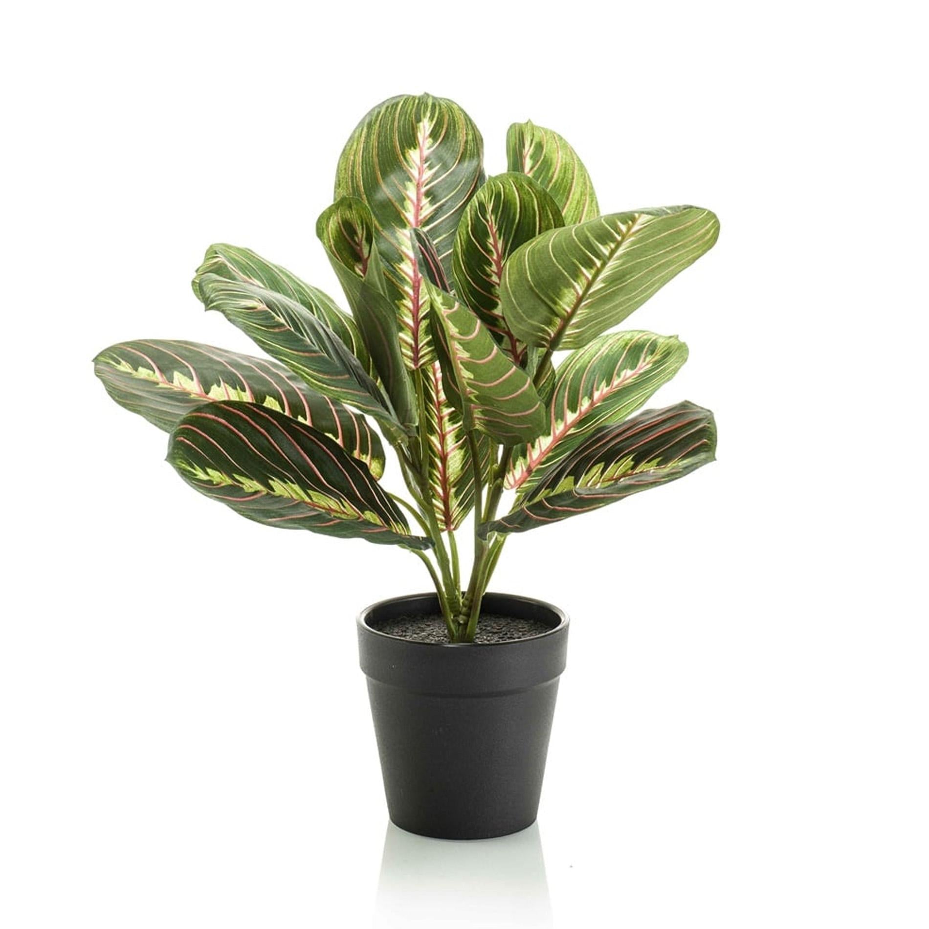 Maranta groen - 30cm - In zwarte pot - Kunstplant