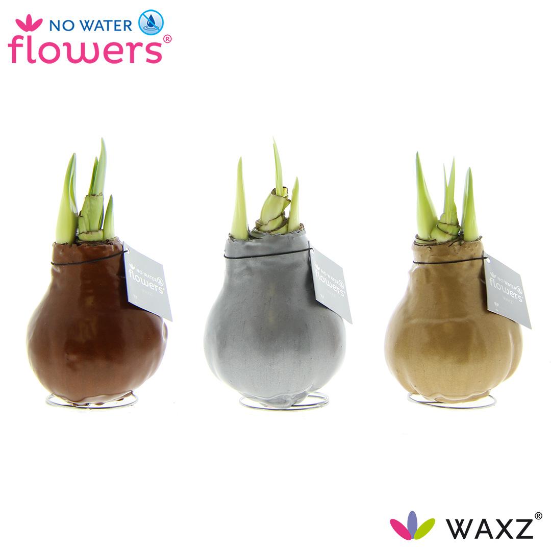 No Water Flowers Waxz Metallic Gold / Silver / Copper - 3 stuks - Ø7 cm - ↕15 cm