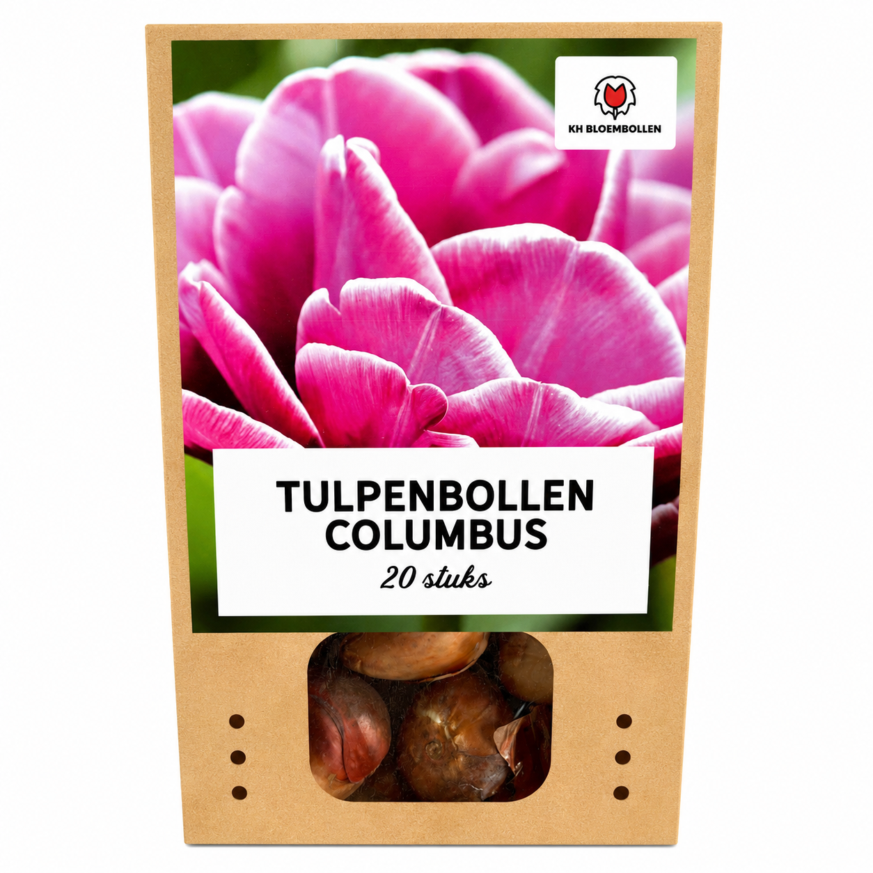 Tulpenbollen Columbus – 20 Stuks | KH Bloembollen® | Roze-Witte Dubbele Pioentulp – Elegant & Vol – Voor Tuin of Pot – Maat 11/12 – Vers van de Teler!