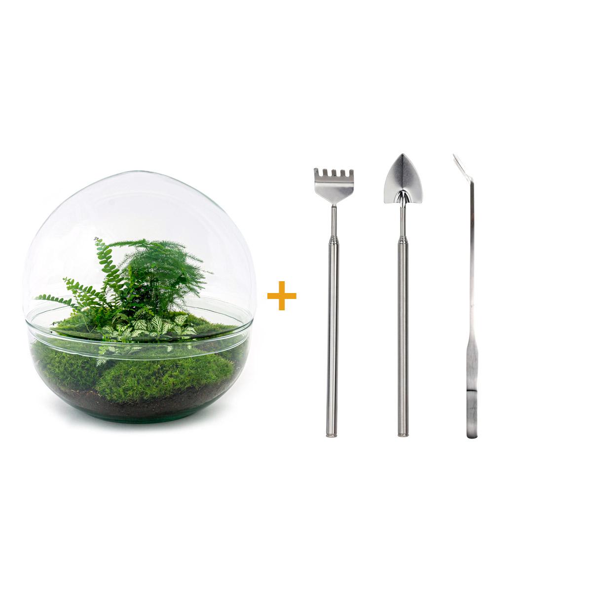 DIY Planten terrarium tweedelig bolglas - Dome XL -Ø 28 cm ↑ 28 cm - Rake + Shovel + Tweezer
