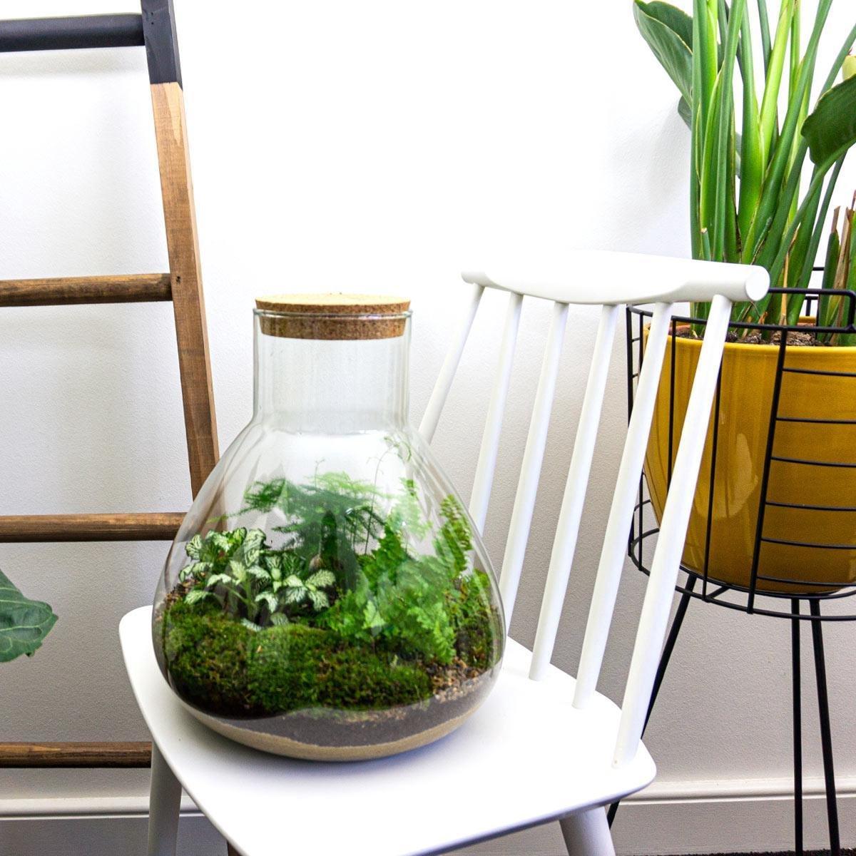 DIY Planten terrarium met licht - Sam XL Green - Ø 30 cm ↑ 32 cm - No tools