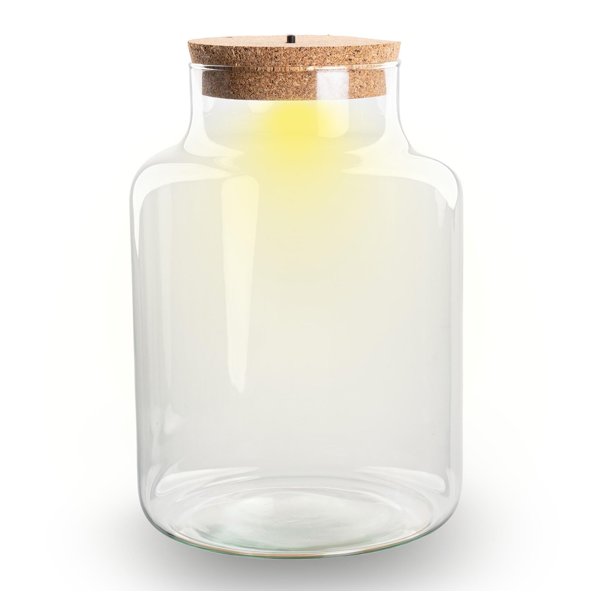 Terrarium fles met verlichting - Little Milky - Ø 17 cm ↑ 25 cm