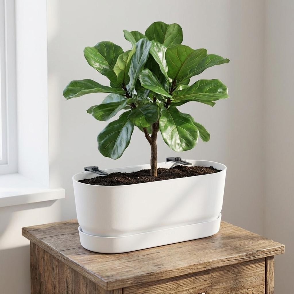 Elho Pot Greenville Easy Balcony D25cm - Wit