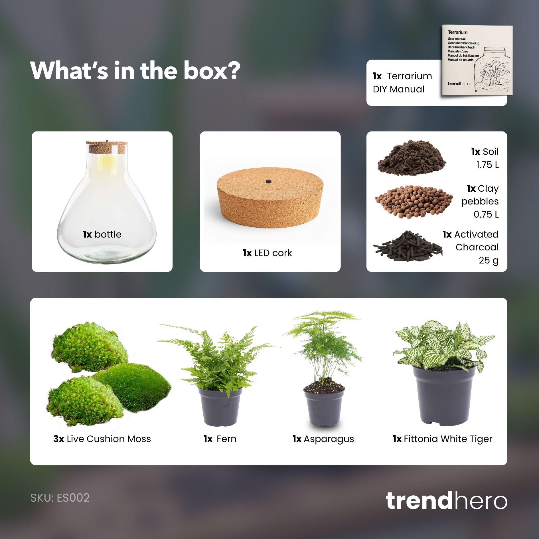 DIY Planten terrarium met licht - Sam XL Green - Ø 30 cm ↑ 32 cm - No tools