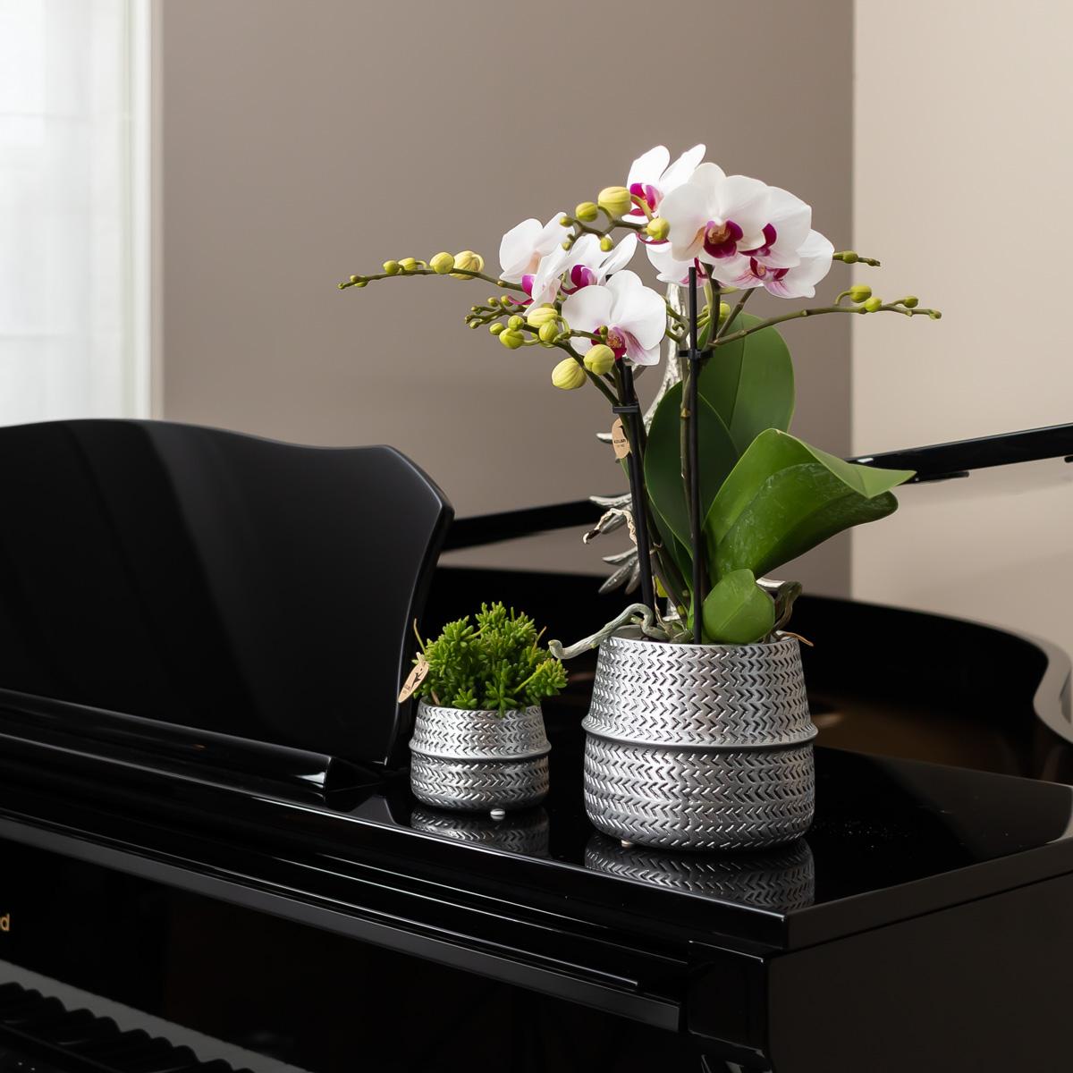 Kolibri Home | Groove bloempot - Zilveren keramieken sierpot - Ø6cm