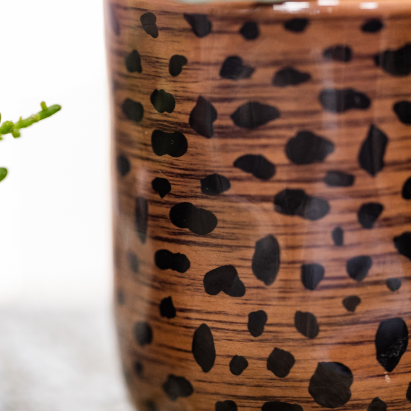 Kolibri Orchids | Giftset Leopard | Bolzano orchidee oranje Ø9cm + groene plant Ø6cm – incl. leopard sierpotten & zwart dienblad – vers van de kweker