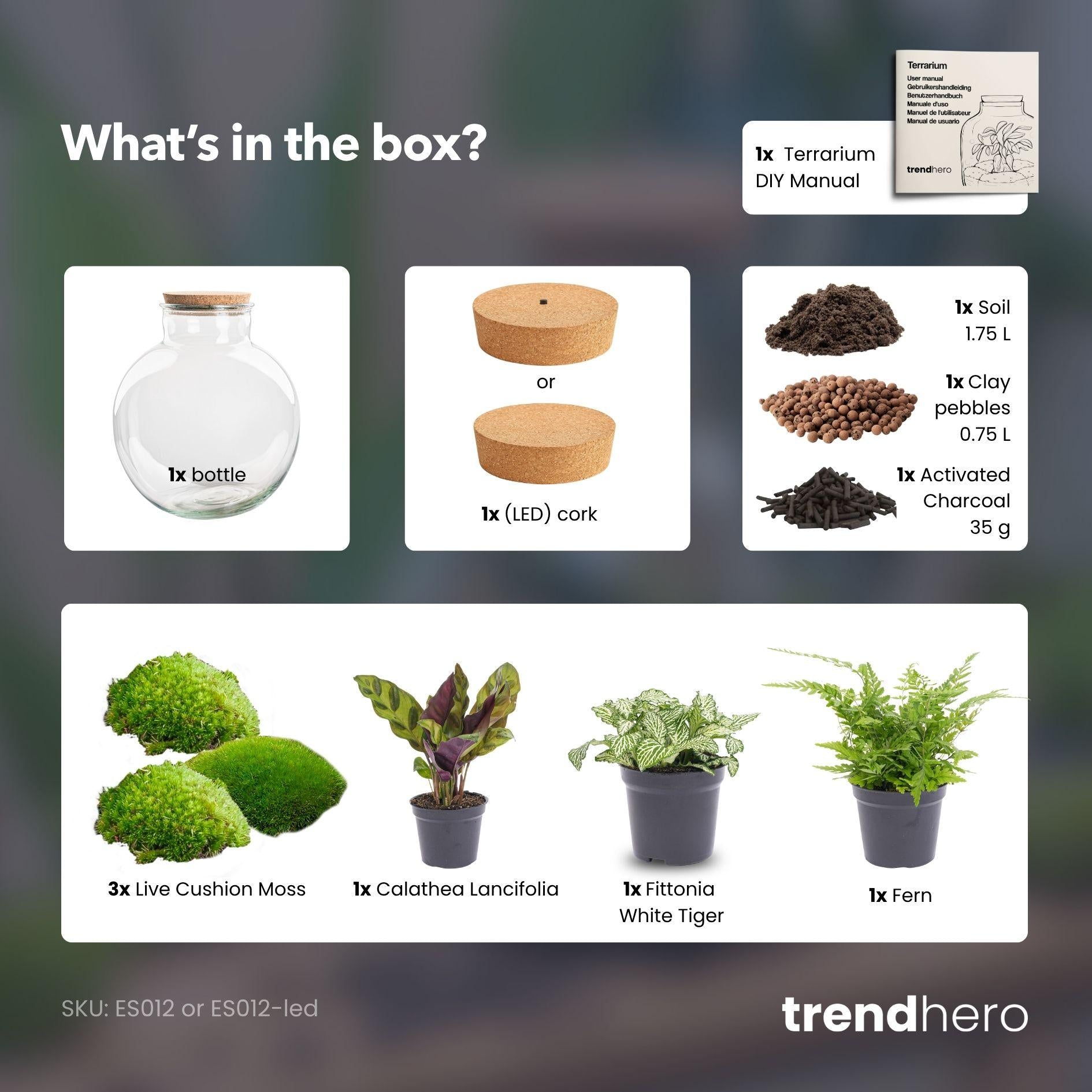 DIY Planten terrarium (met verlichting) - Bolder Bob - Ø 31 cm ↑ 30 cm - No tools