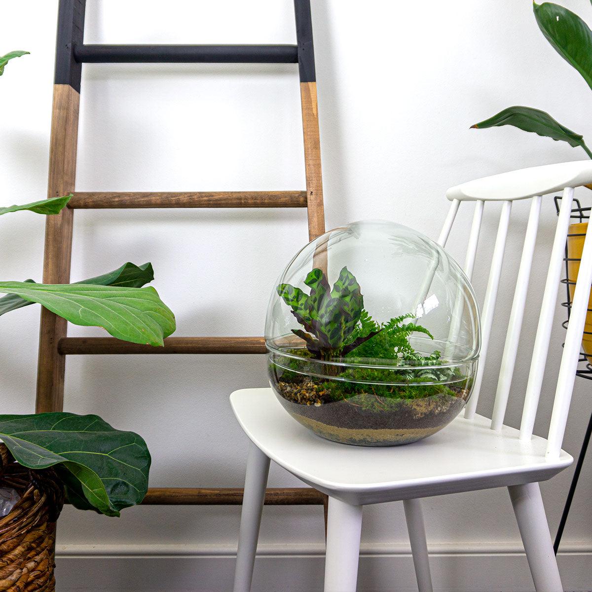 DIY Planten terrarium tweedelig bolglas - Dome XL -Ø 28 cm ↑ 28 cm - Rake + Shovel + Tweezer