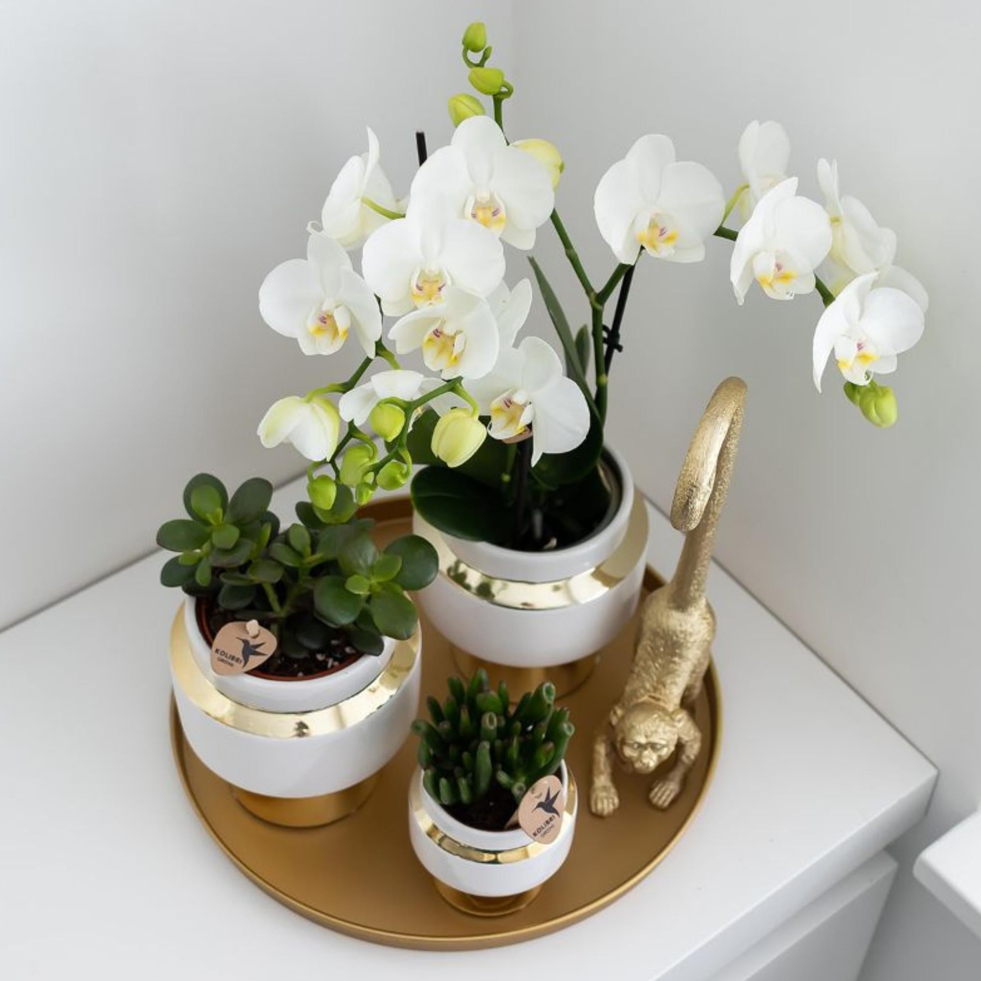 Kolibri Home | Decoratieschaal - Rond gouden dienblad Ø30cm