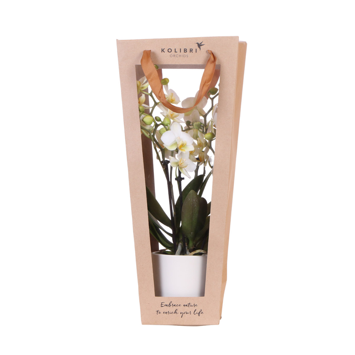 Kolibri Company I Cadeau tasje voor Orchidee voor Sierpot 9cm