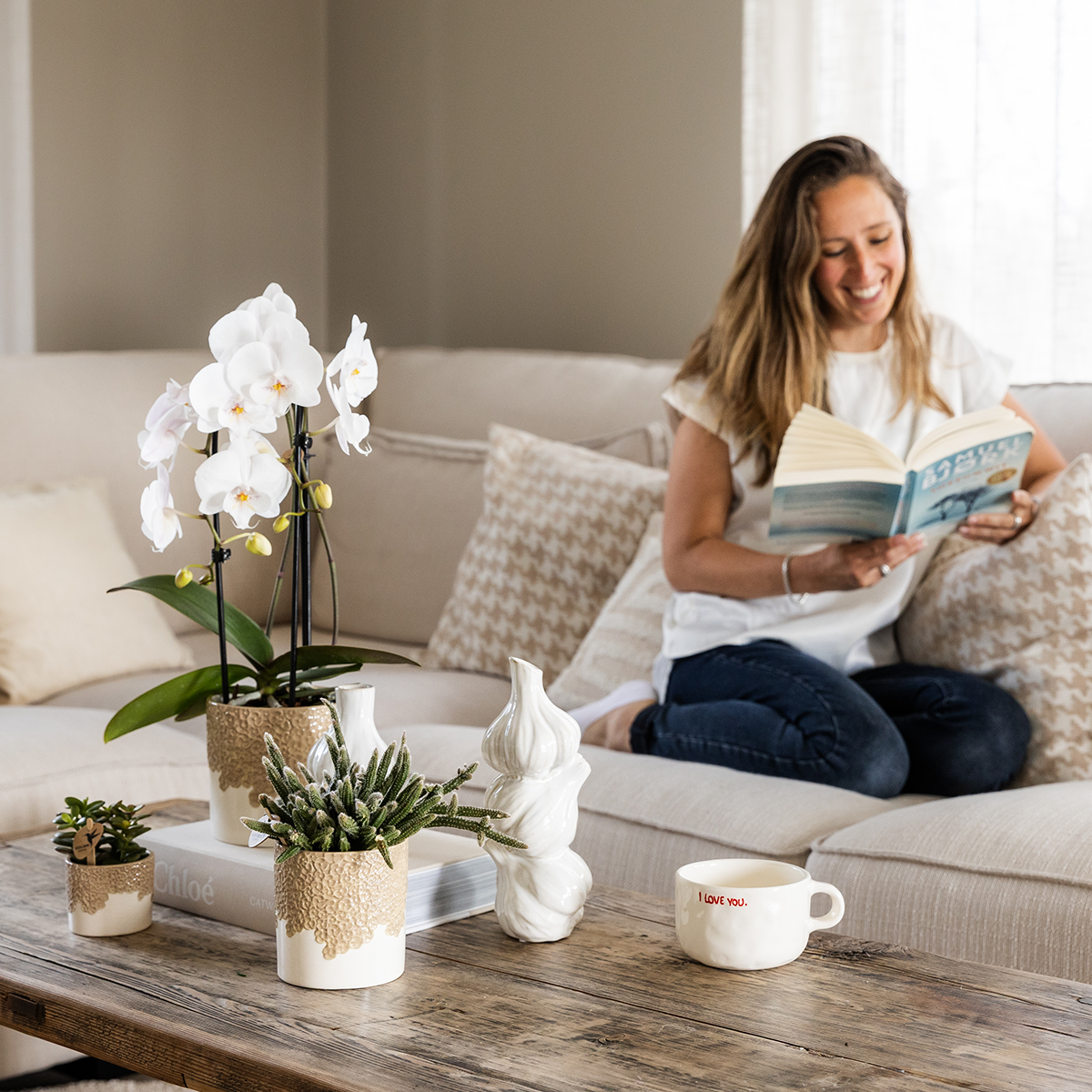 Kolibri Company | Plantenset Bloom Sand | Witte Niagara Falls orchidee 12cm + groene planten incl. Bloom Sand sierpotten