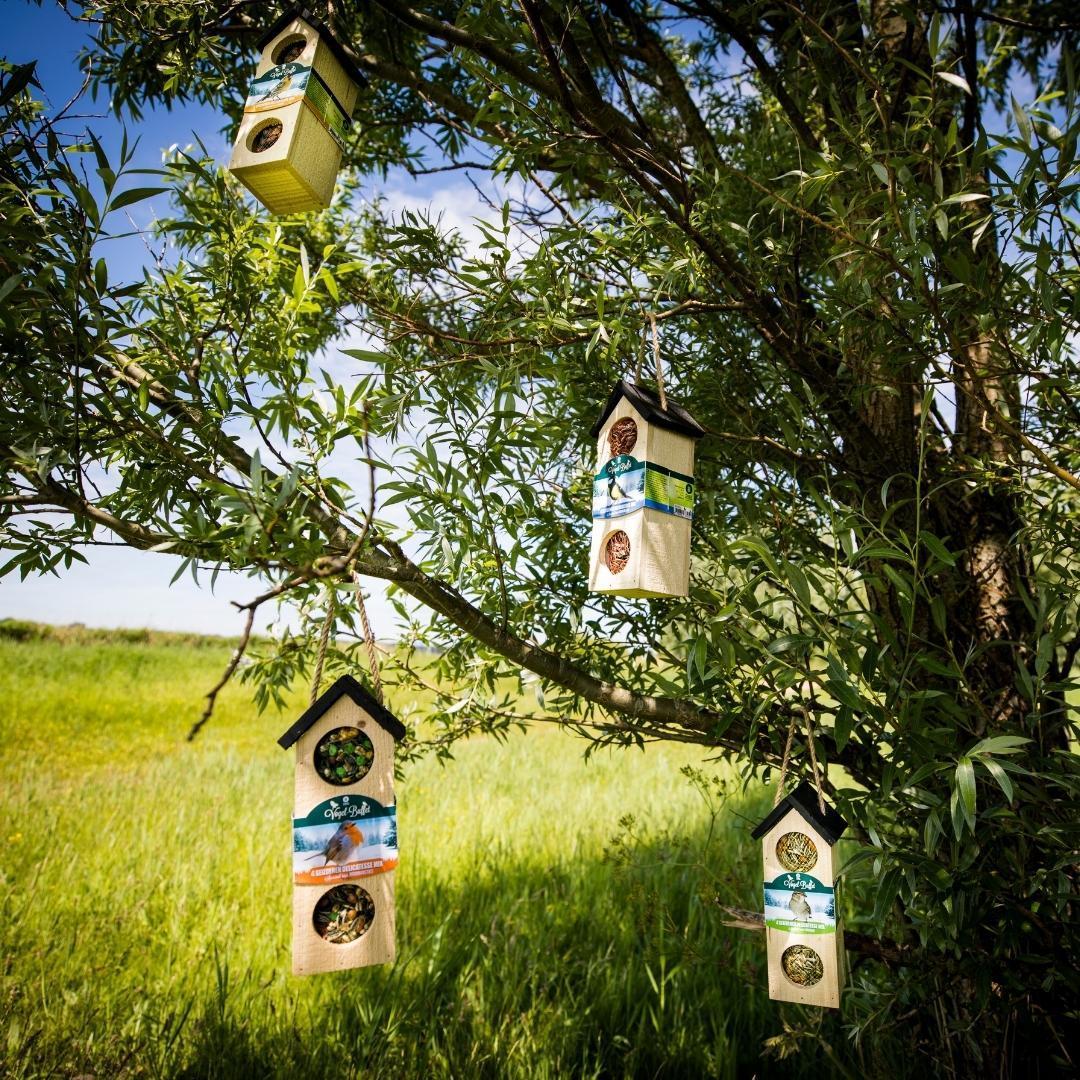 Bird Buffet | Chalet feeder birdhouse | 500 grams - Sparrows