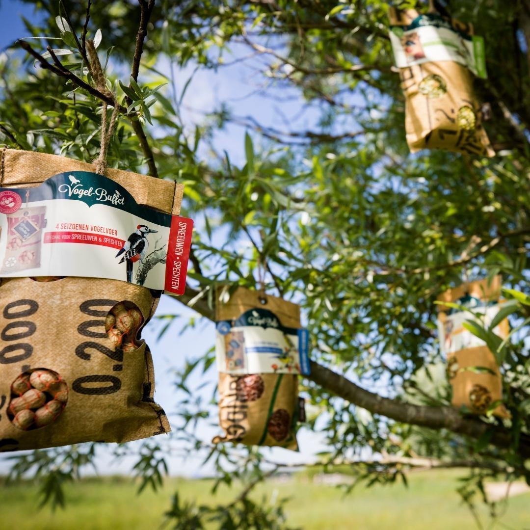 Vogelbuffet | Picknick für Vögel im Freien | 300 Gramm – Kohlmeisen und Blaumeisen