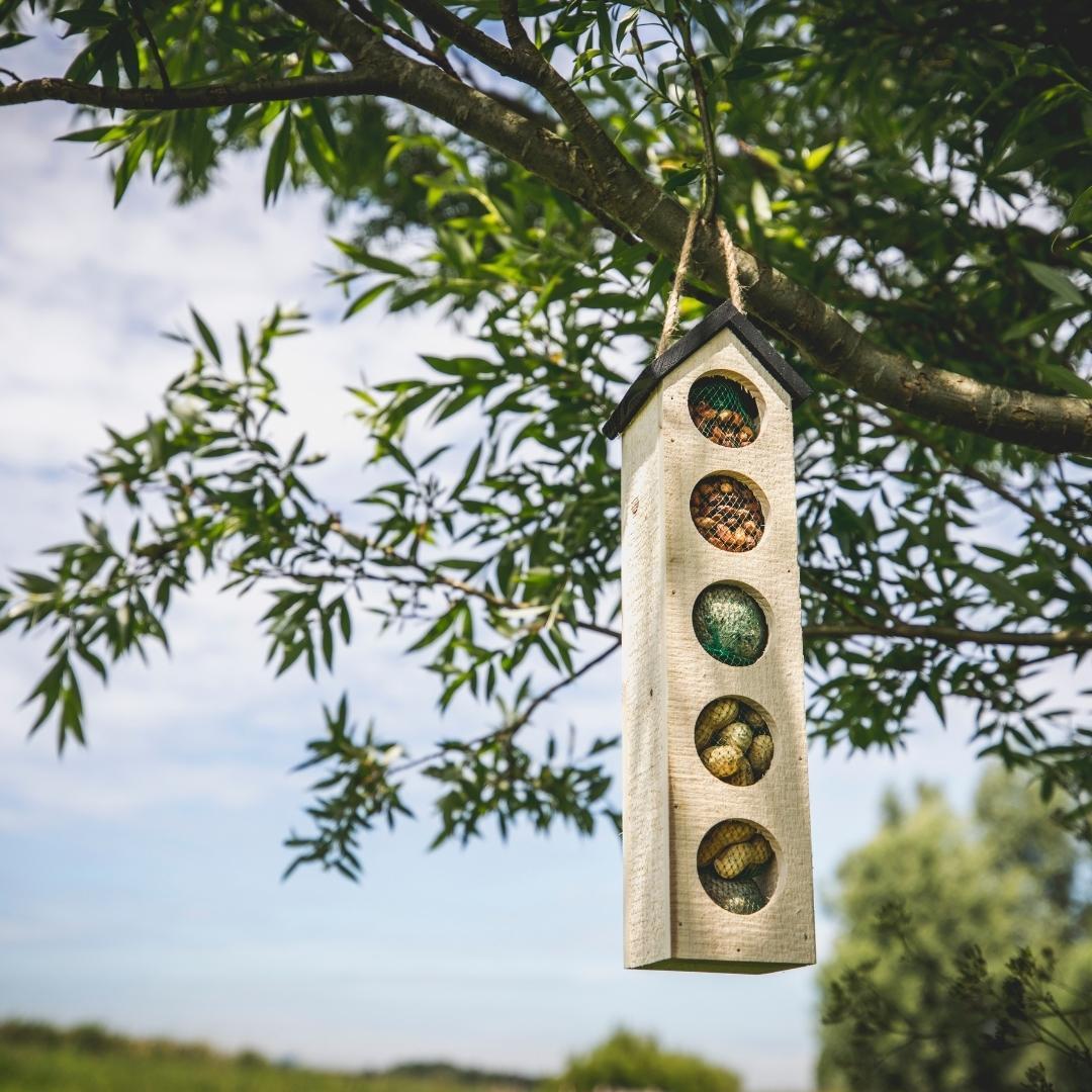 Bird Buffet | Big Chalet feeder birdhouse including 500 grams of food