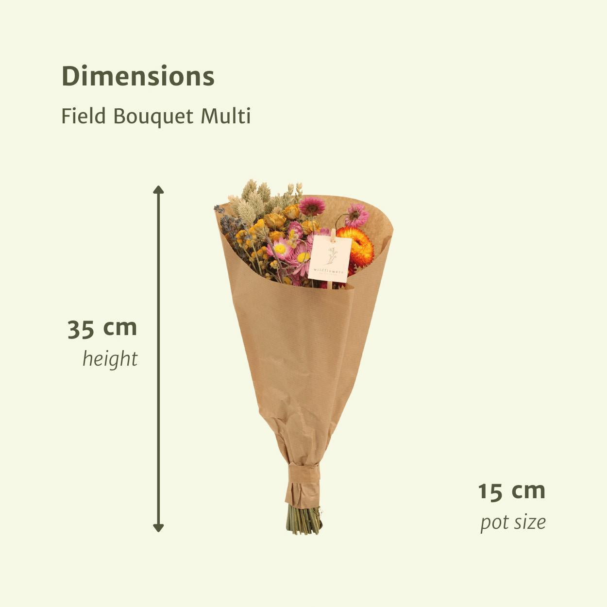 12x Field Bouquet Multi - Dry bouquet - 35cm - Ø15