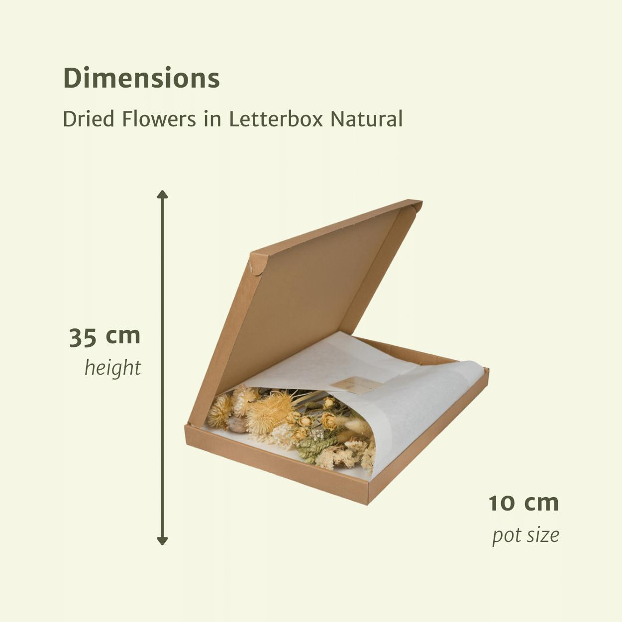 Trockenblumen im Briefkasten Multi - Natur