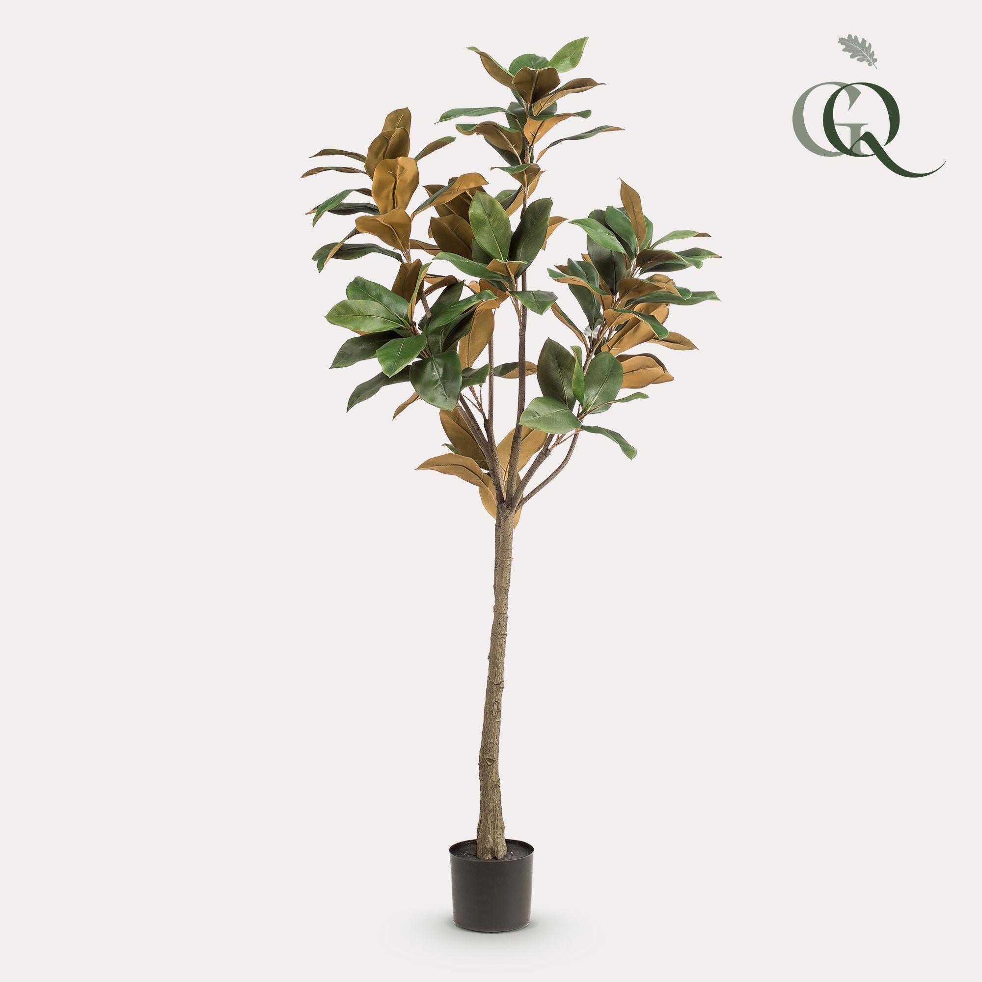 Artificial plant - 150 cm - Magnolia Grandiflora