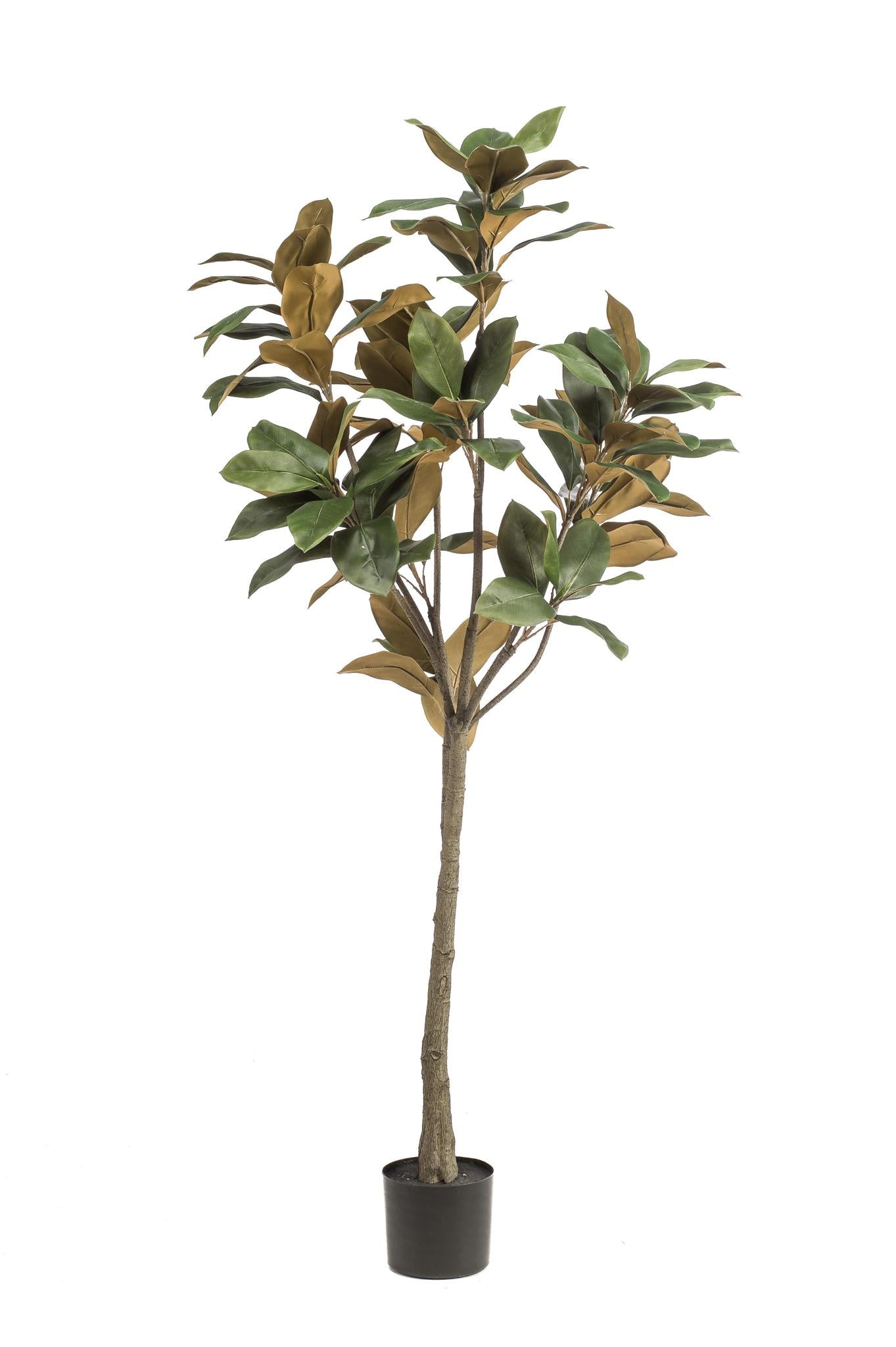 Artificial plant - 150 cm - Magnolia Grandiflora