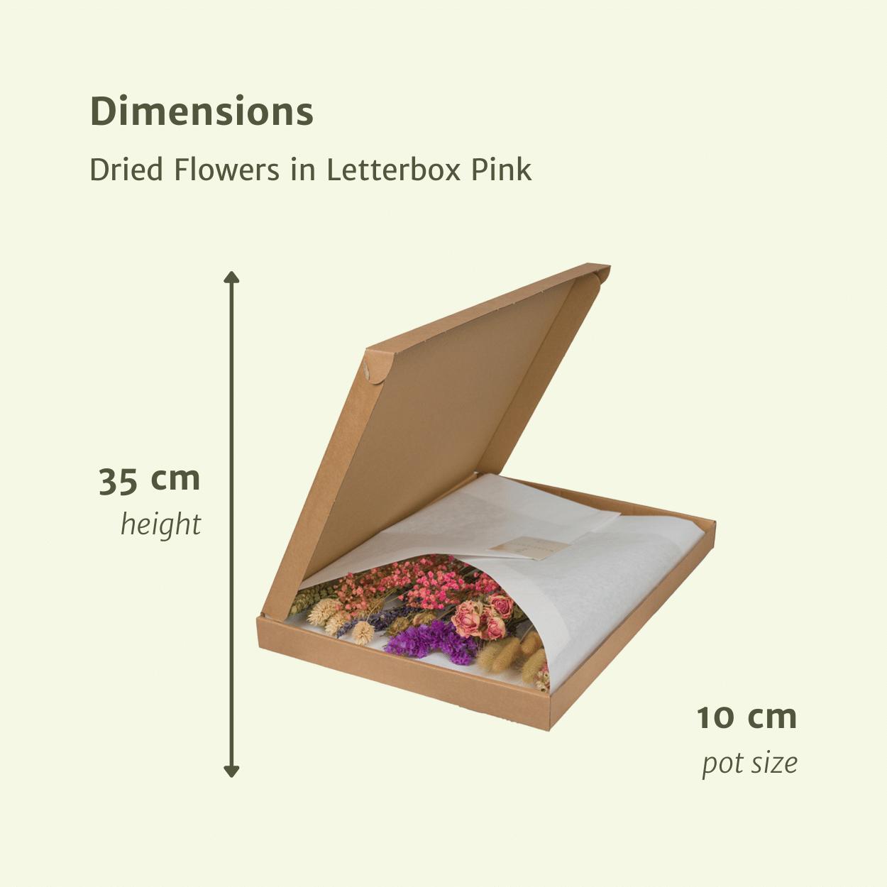 Dried flowers in Letterbox Multi - Pink