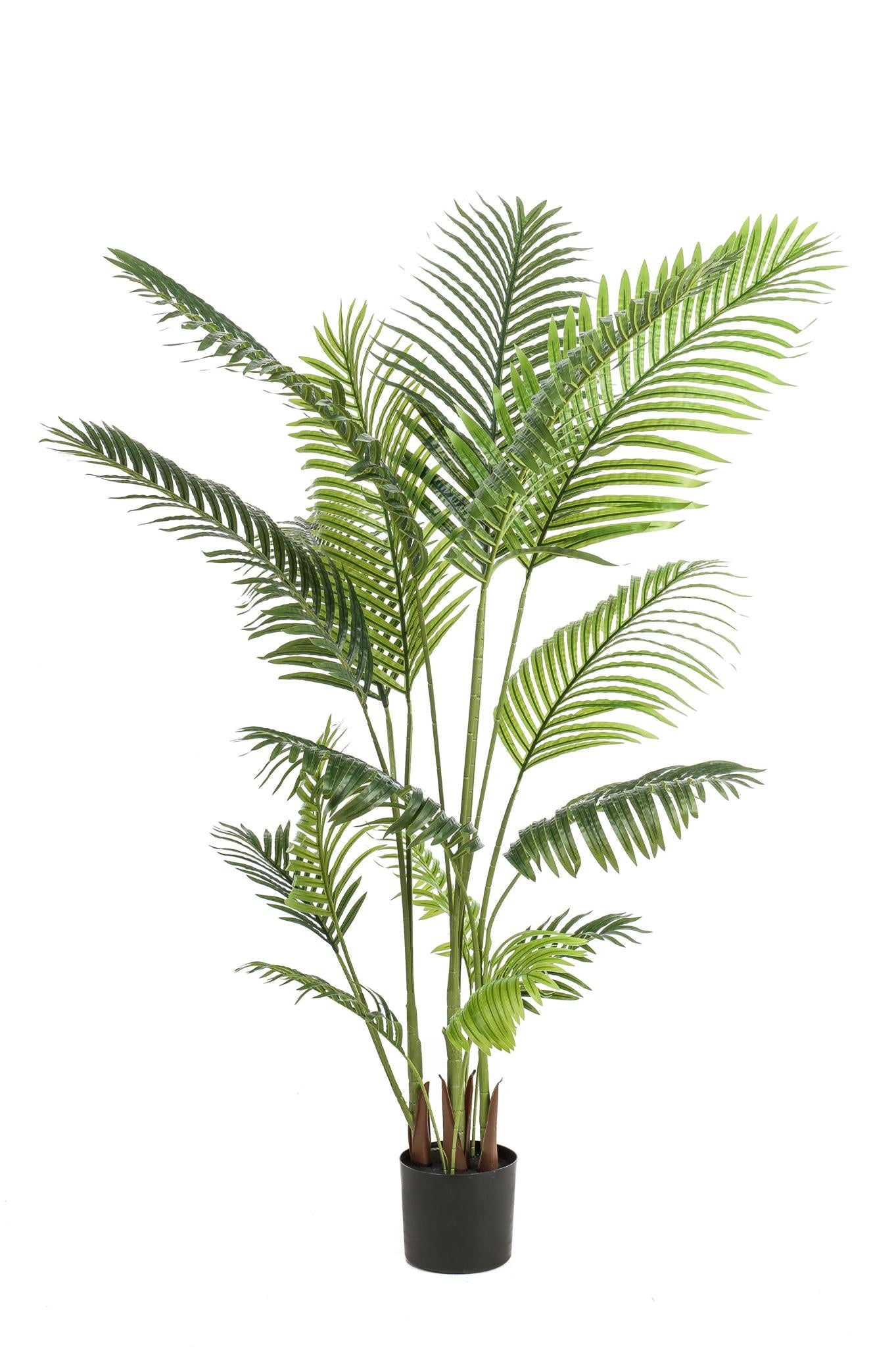 Künstliche Pflanze - 160 cm - Howea Forsteriana